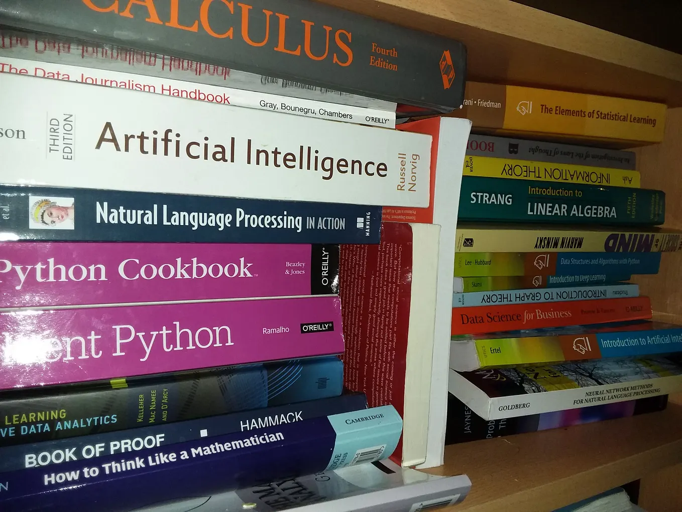 Learn neuroscience, machine learning, programming, and social science without a degree