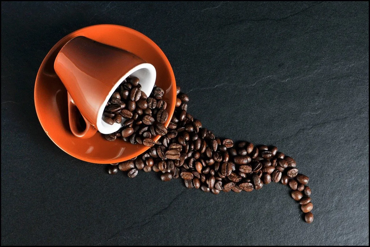 Empty Cup / Full Cup