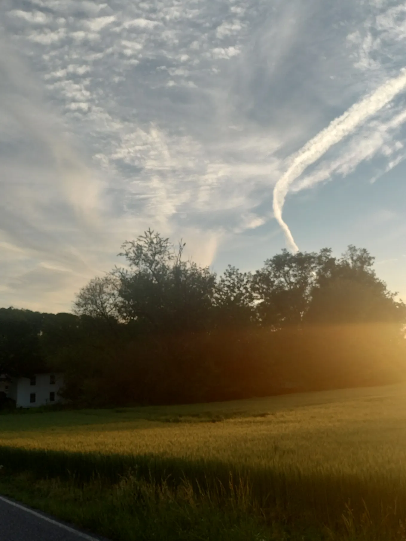 whispy clouds over trees over a farm