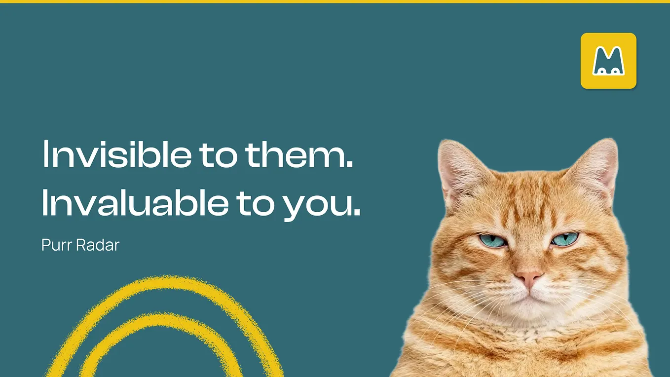 Where Is My Cat? — The UX Research Behind PurrRadar’s Privacy-First Pet-Tech Launch
