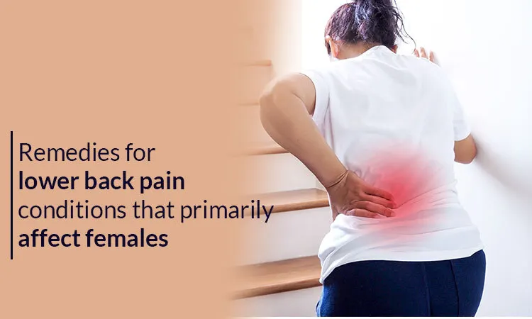 The Most Insightful Stories About Lower Back Pain Medium the-most-insightful-stories-about-lower-back-pain-medium