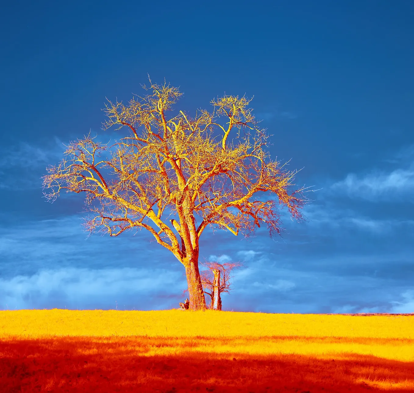 Dear Content Creator, Do You Even Know What Content Marketing Is?