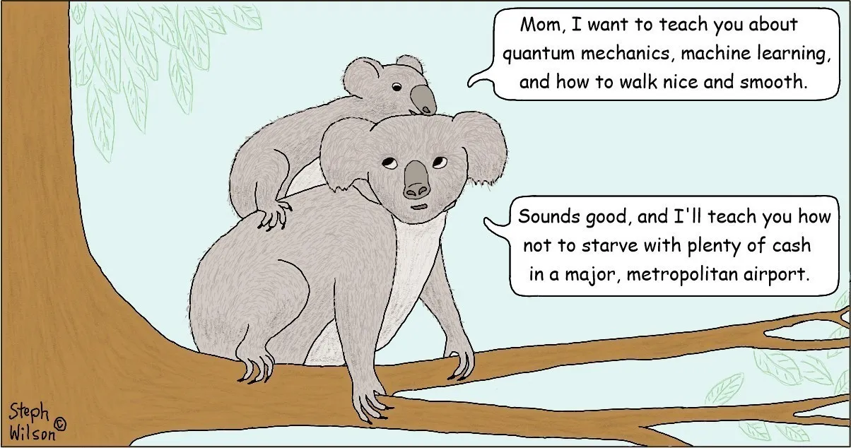 Mother and child koalas discuss what they’ll teach each other.