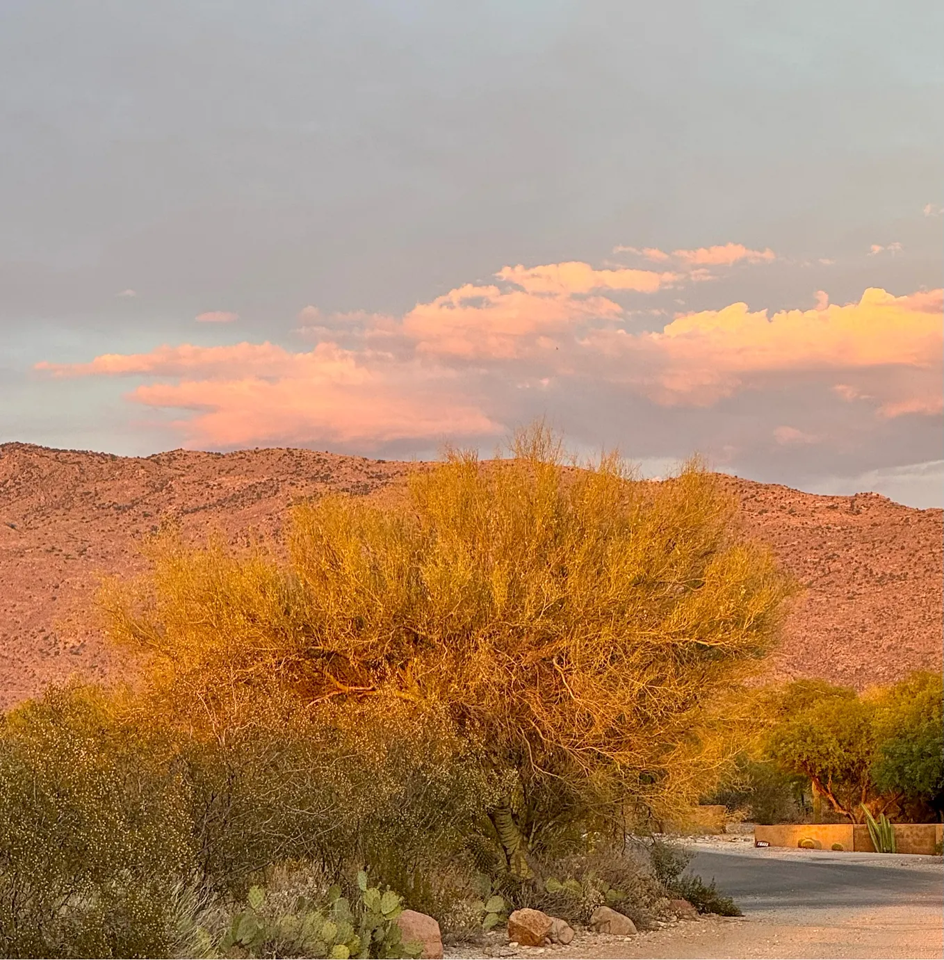 Walking Towards the Mountains Just Before Sunset