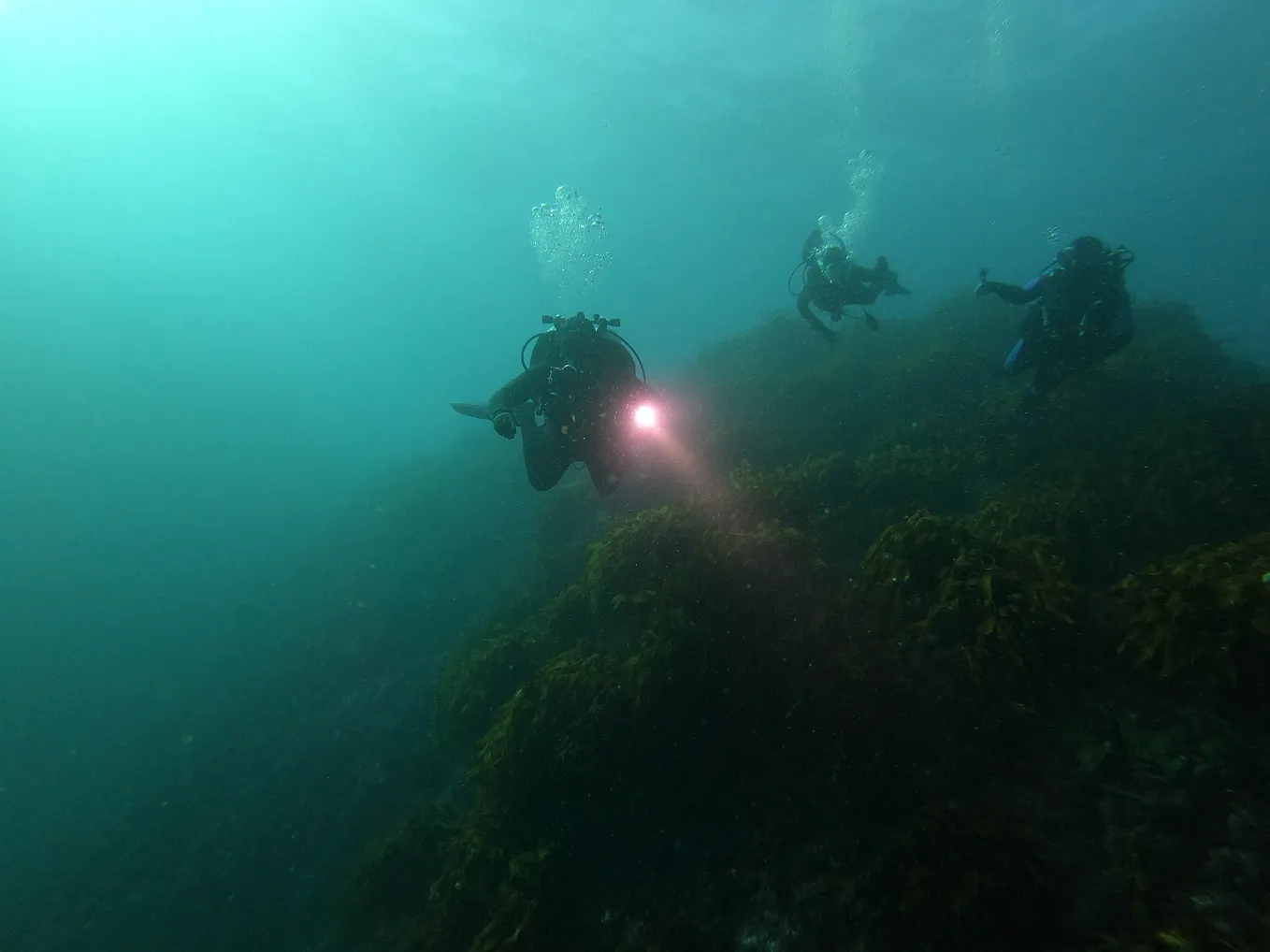 Diver’s Blog Twenty-Five: Diving Danger Rock.