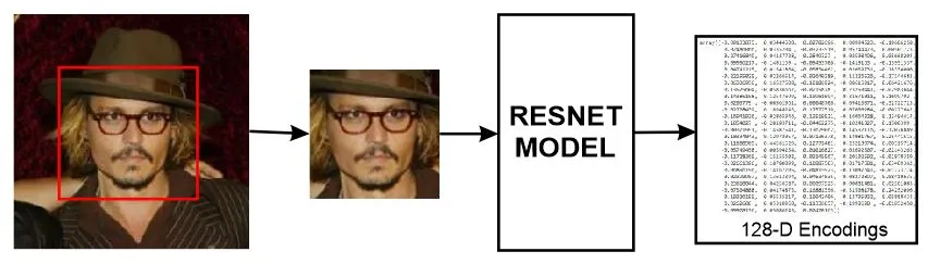 Step-by-Step R-CNN Implementation From Scratch In Python | by Rohit ...