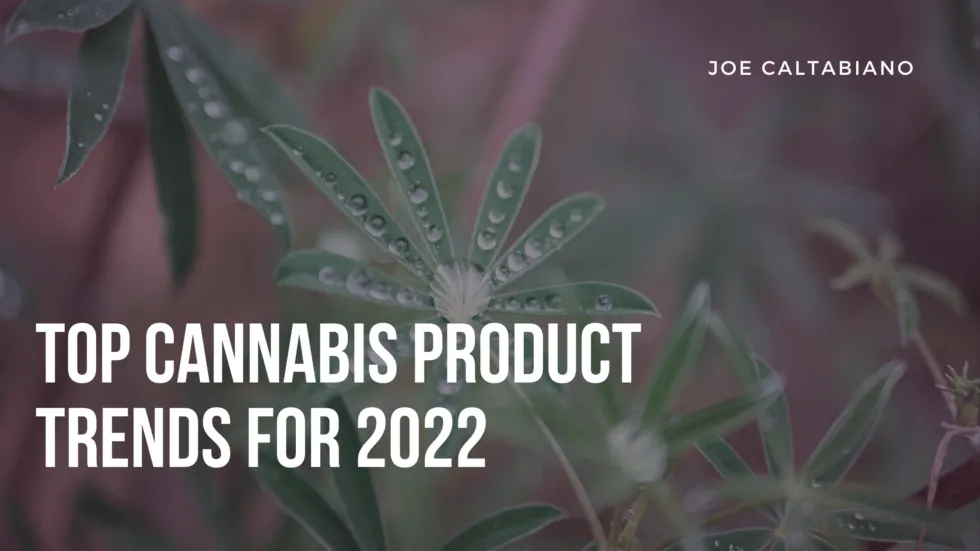 Top Cannabis Product Trends for 2022