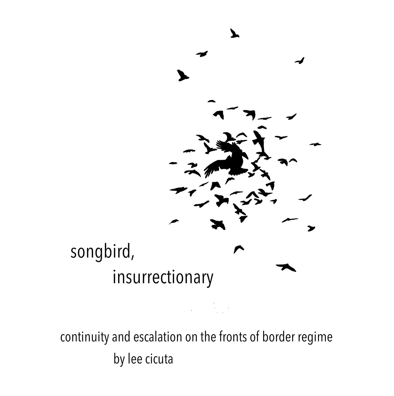 Songbird, insurrectionary: continuity and escalation on the fronts of border regime
