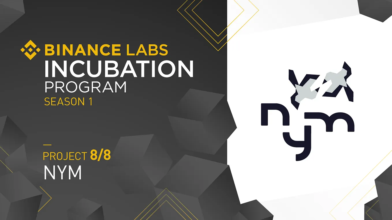 Introducing the Binance Labs Incubation Program | by Binance Labs | Binance  Labs | Medium