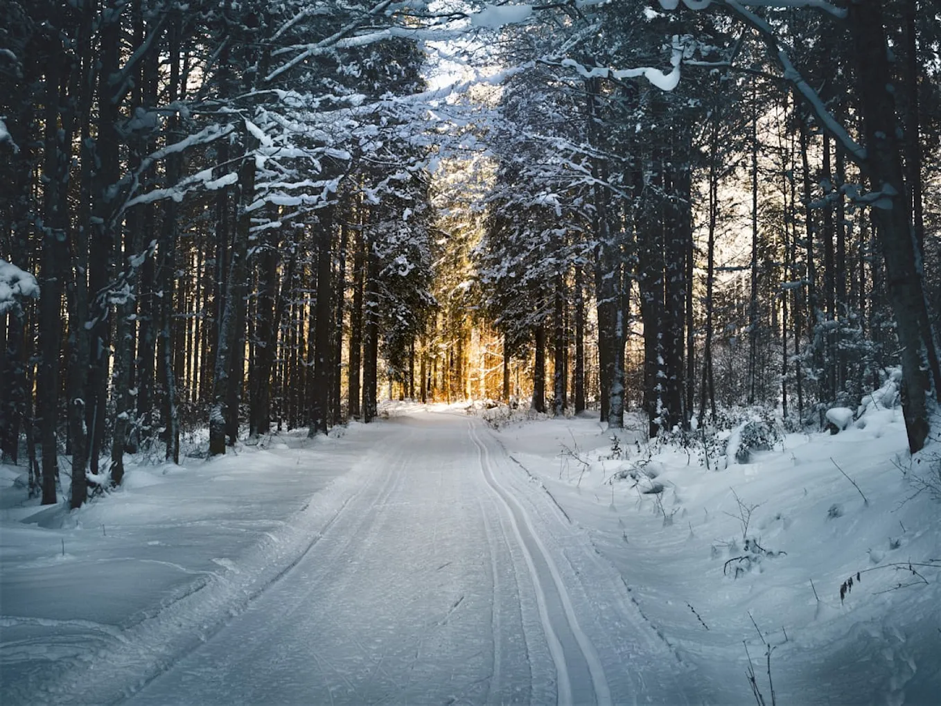 A cold winter day with a friend on a sledding/winter adventure 
By: Brittany Regina