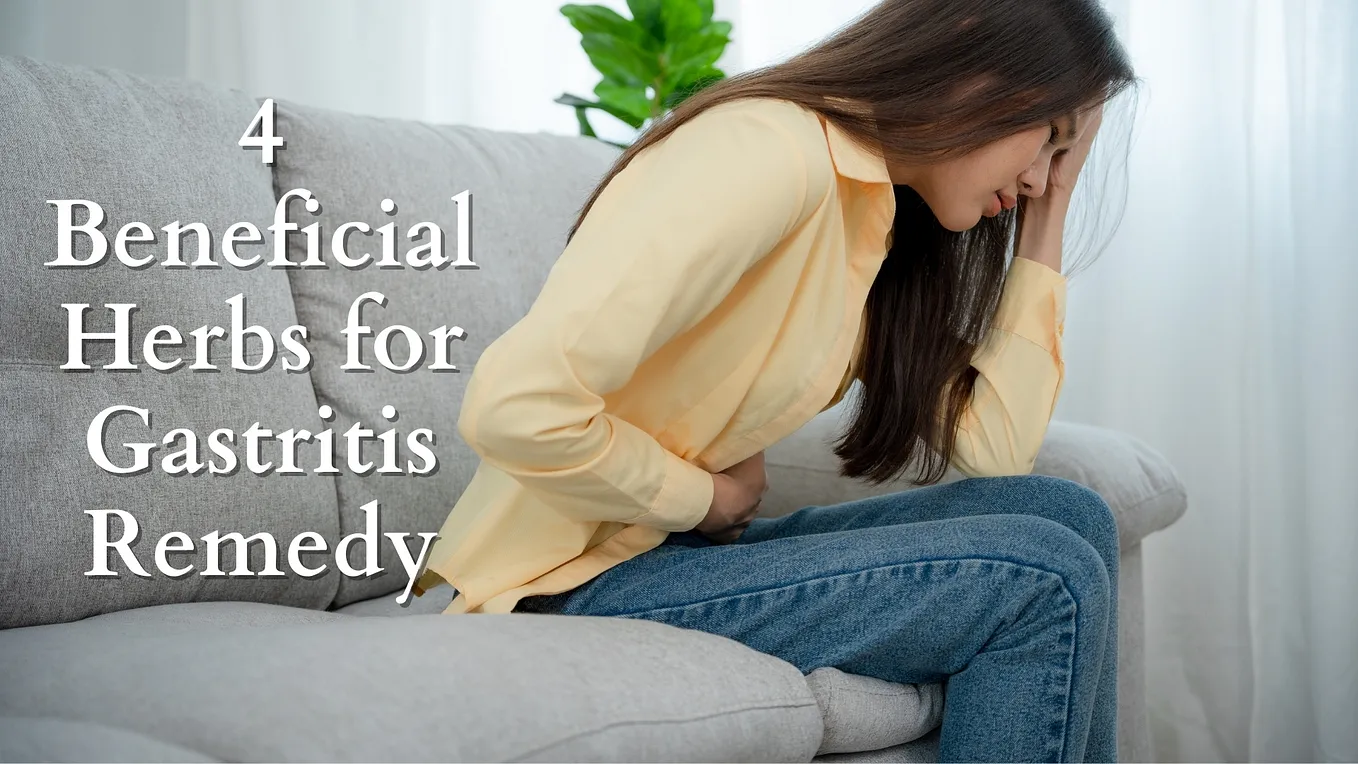 Soothing the Stomach: 4 Herbal Allies for Gastritis Relief