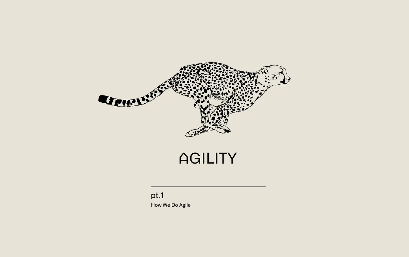 How we do Agile
