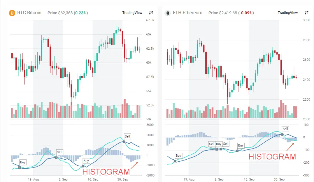 Spotting Early Bullish Momentum Inflection: How to Use MACD Histogram to Capitalize on Market…