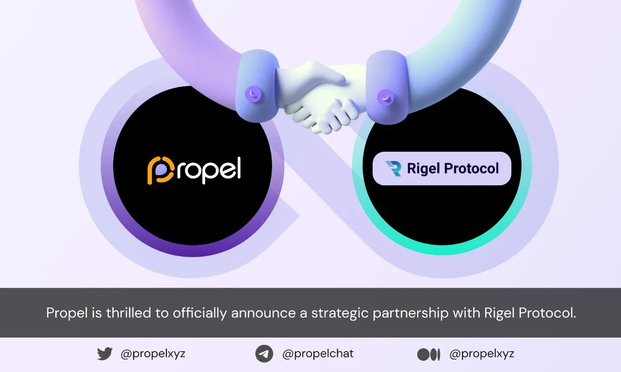 Propel x Rigel Protocol