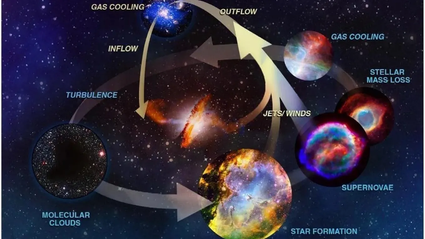 The four paths forward for US scientists in 2026