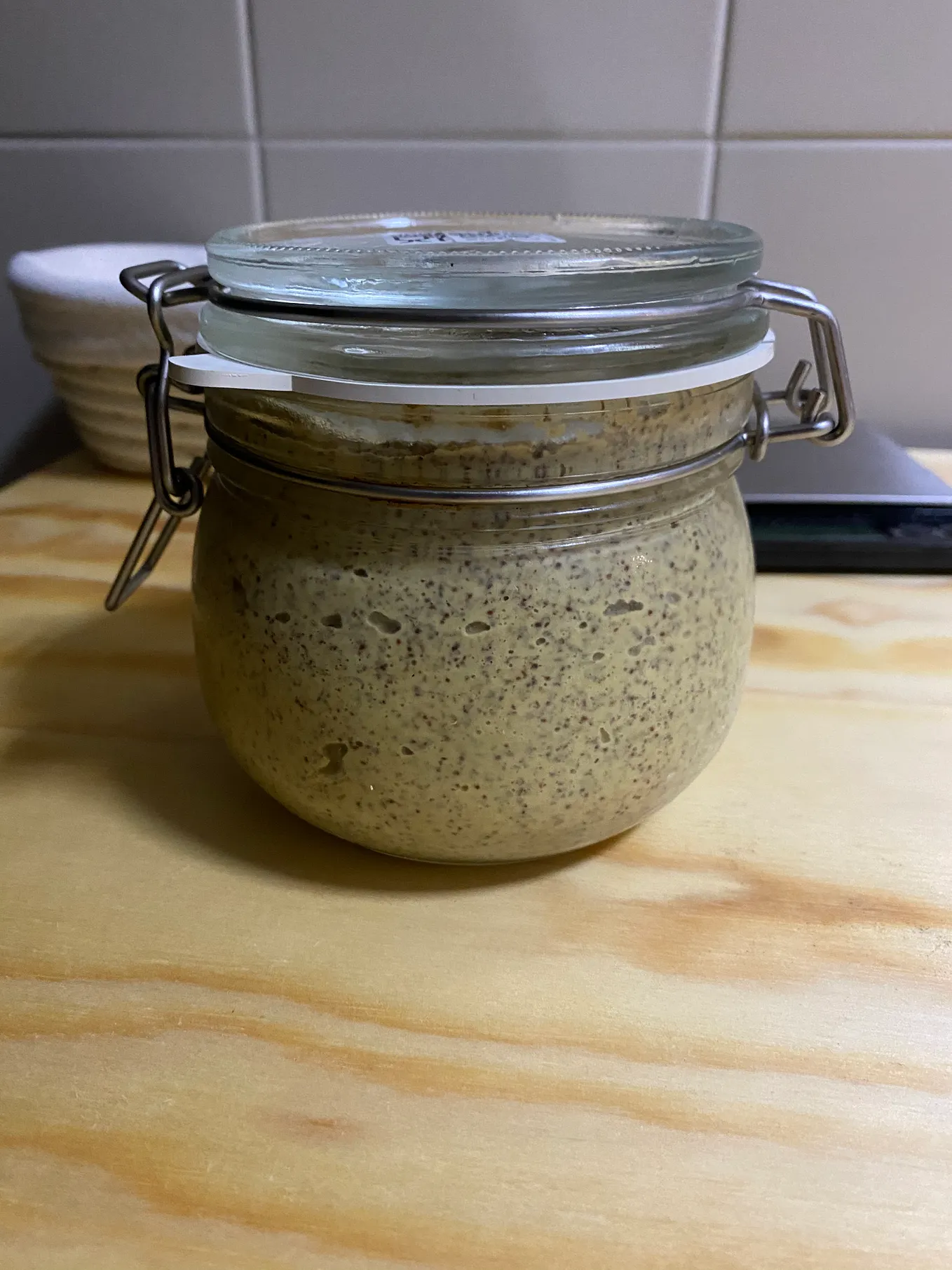 Home Made Fermented Mustard