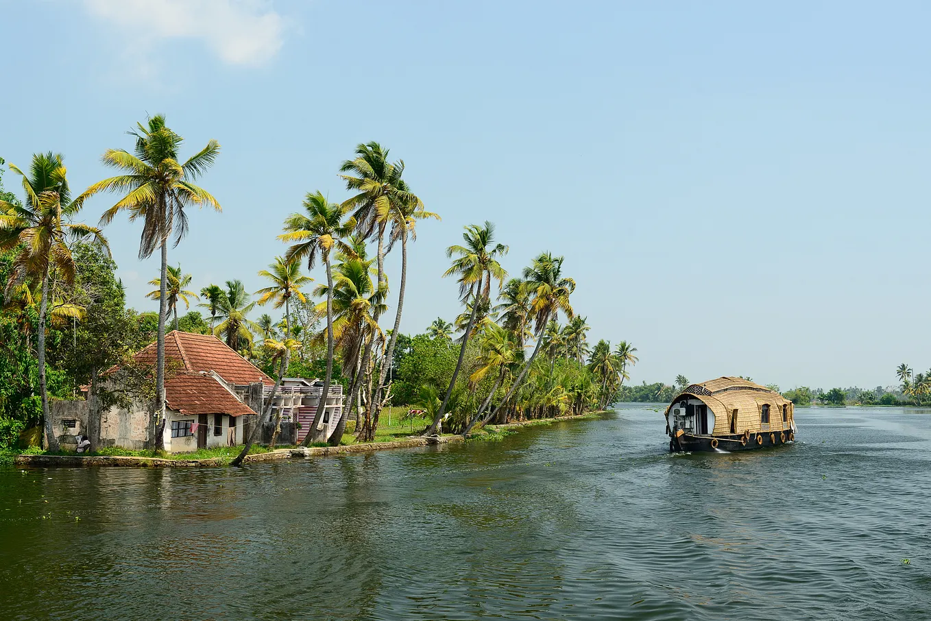 Revisiting My Roots: A Personal Journey Through the Memories of Onam