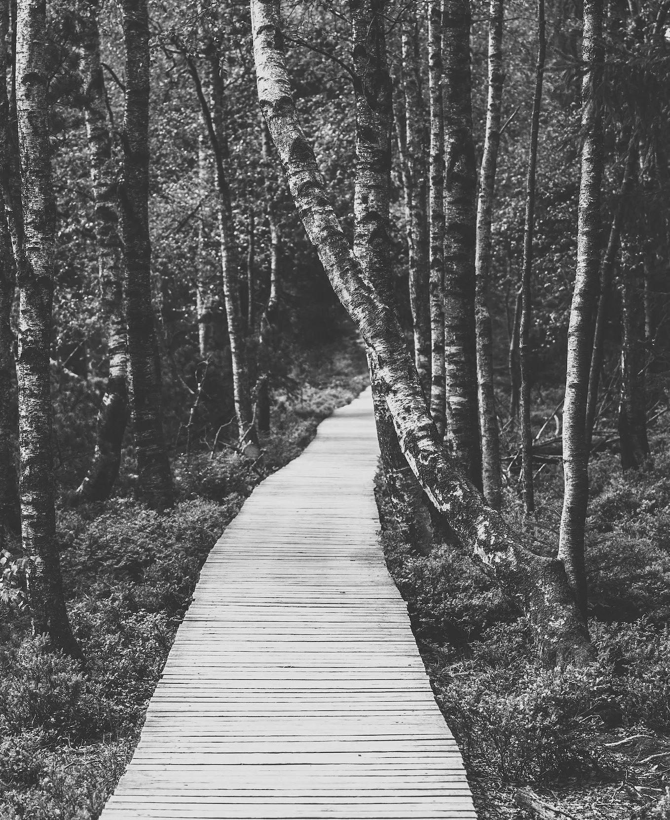 I Transformed My Life by Fully Understanding These Quick Quotes by
