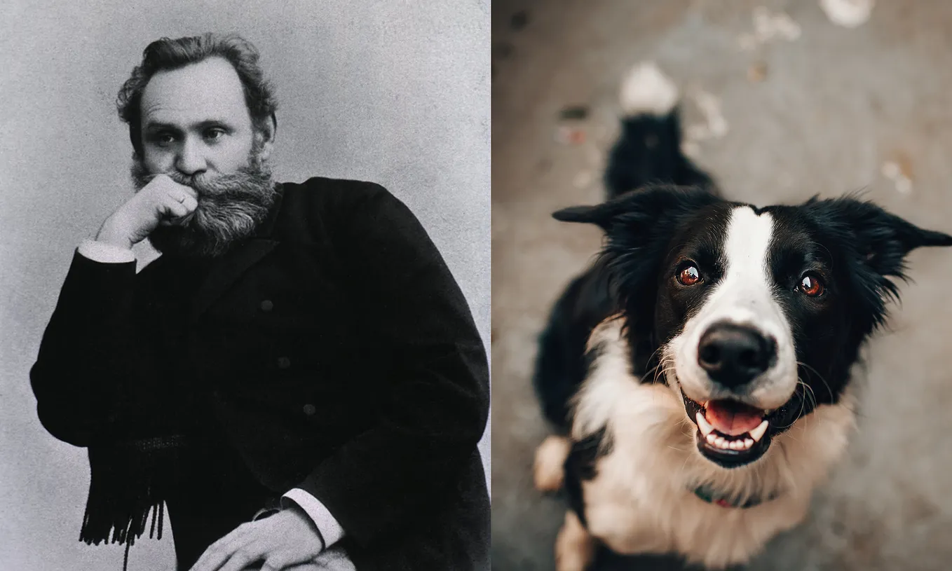 The Dark Side Of Ivan Pavlov And The Orphan Experiment