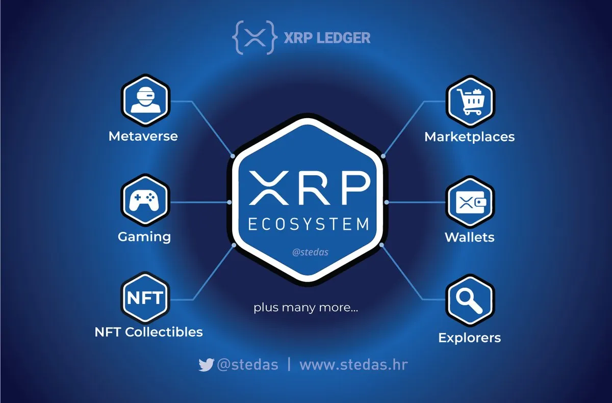 XRPL DECYPHER Chapter 3: Introduction To Blockchain-Powered Digital Assets  | by Mad Marvin ☘️ | Medium