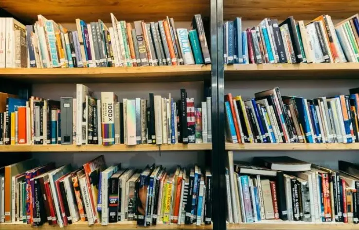 Creating a Book Inspired Mentoring Program