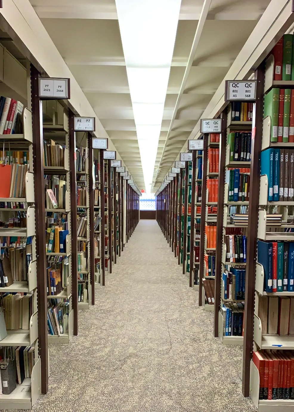 Days at the Library
