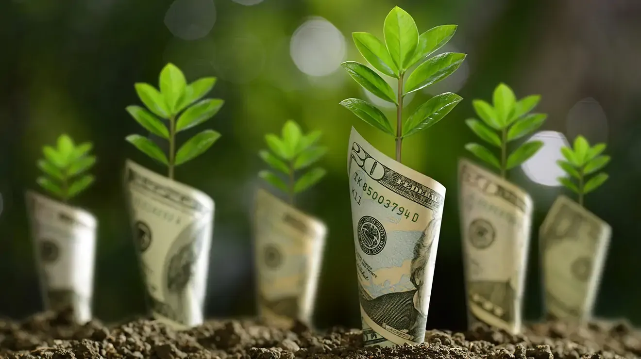 The dark side of Environmental Marketing?