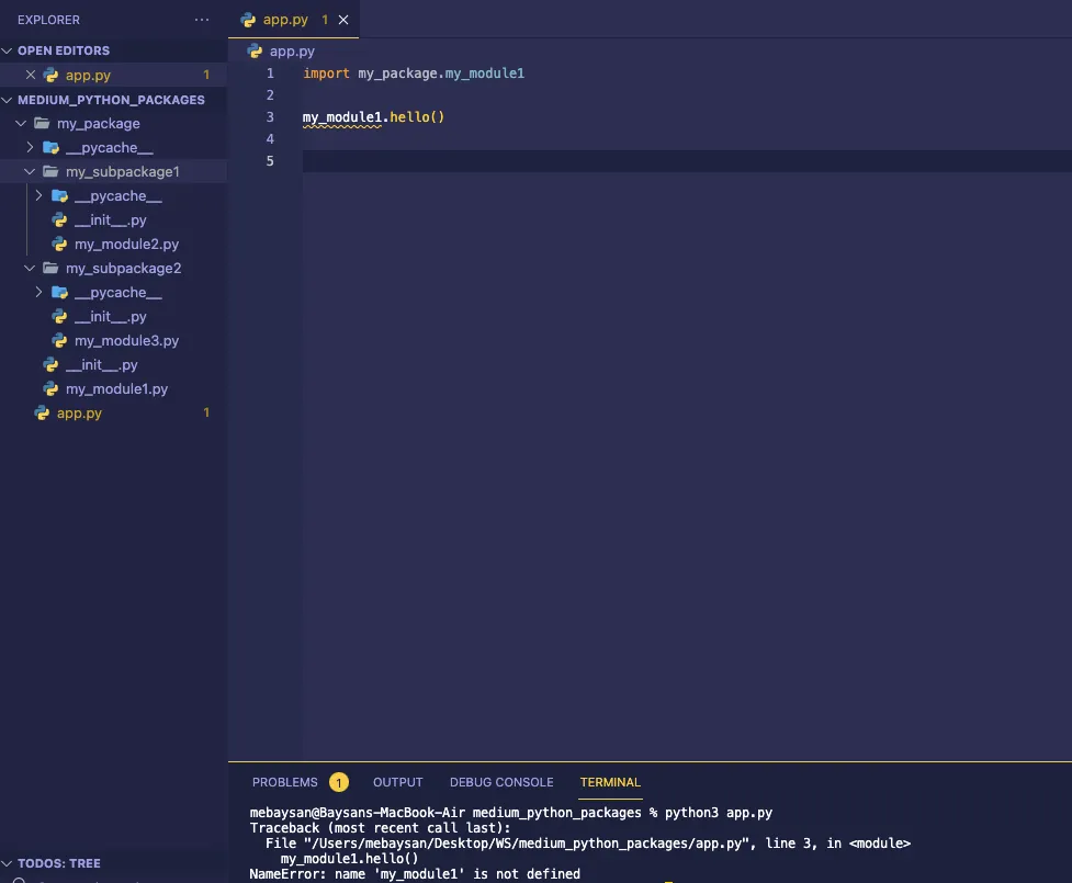 Customer Life Time Value Prediction by Using BG-NBD & Gamma-Gamma ...