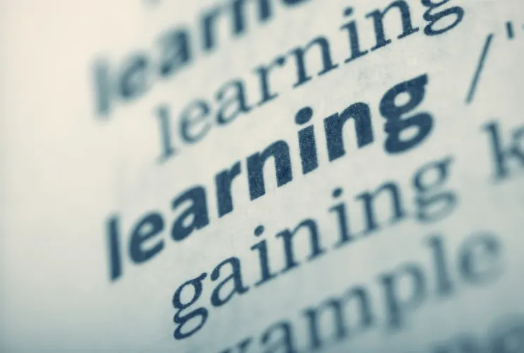 Learning Four Languages at Once — Is That Even Possible? | by Krystyna ...