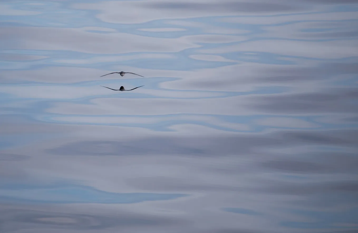 The Waters of the Arctic