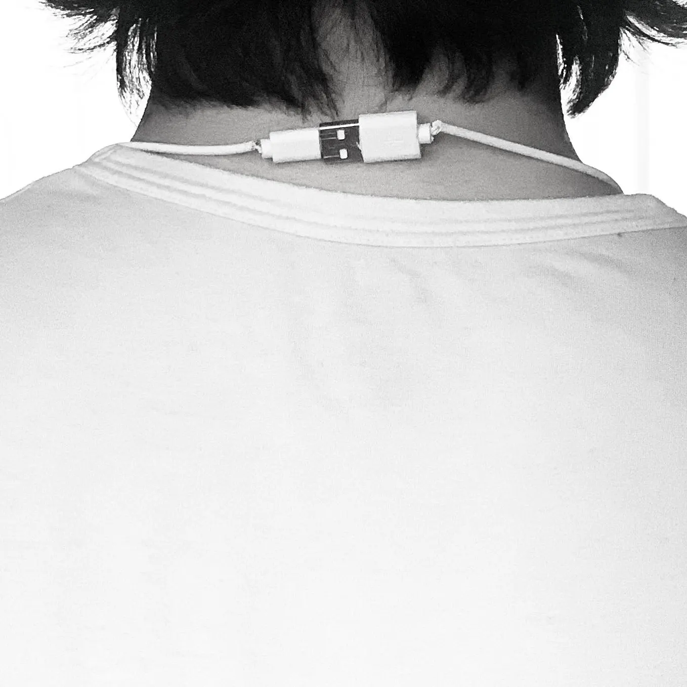 Developing accessories