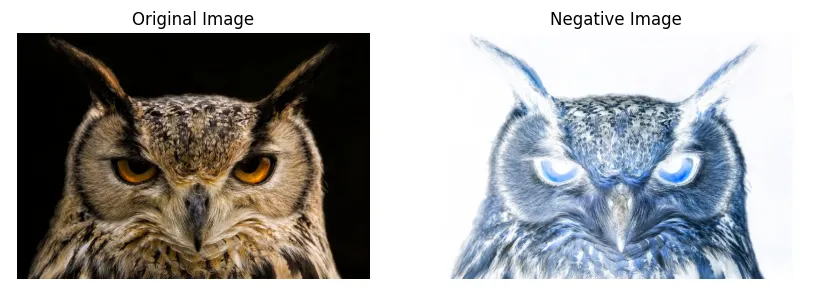 Unlocking Image Enhancement: A Guide to Histogram Processing and ...