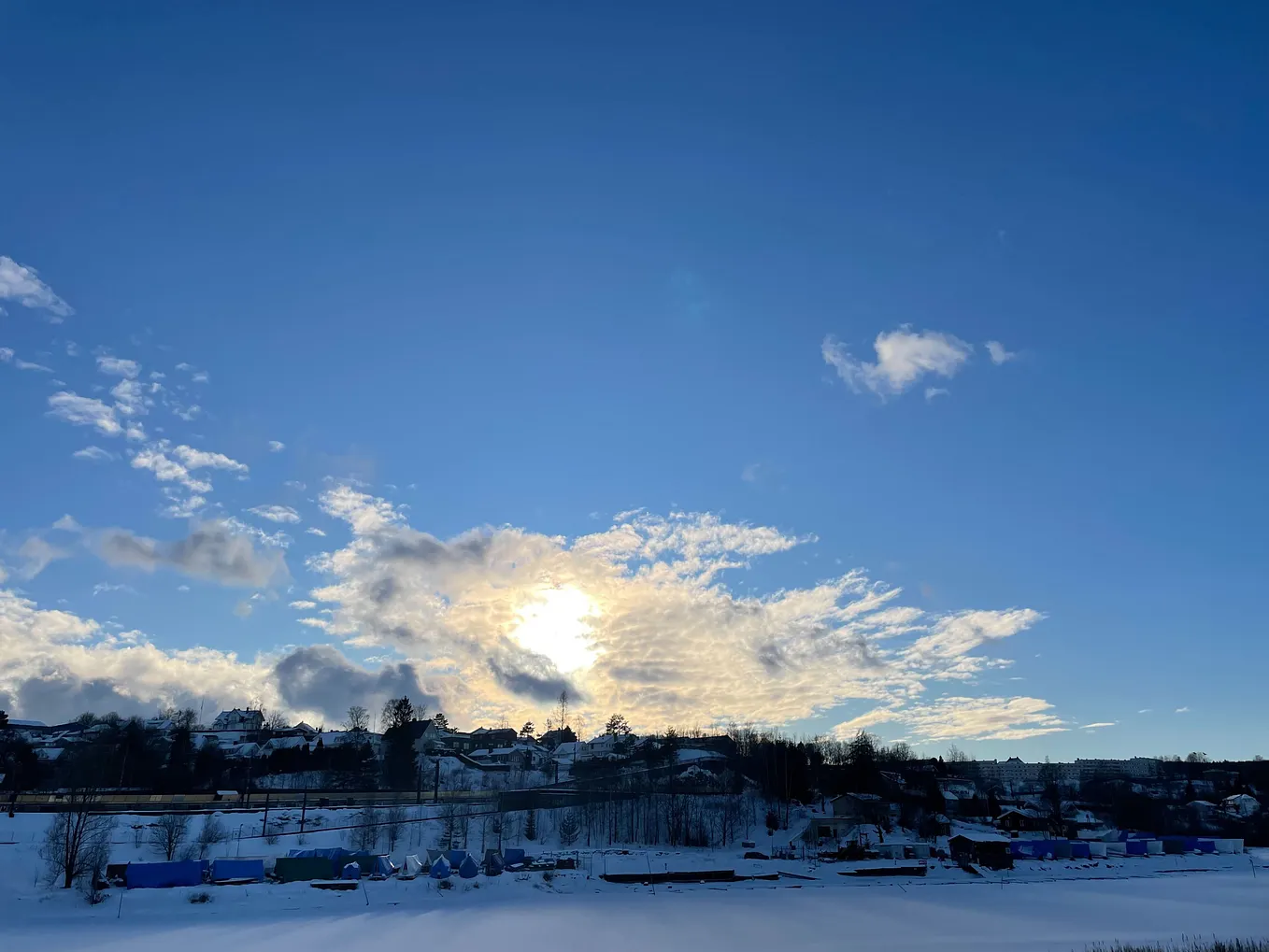 From India to Norway: A Story of Integration