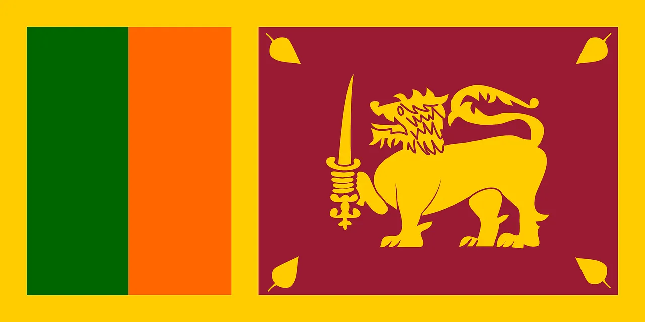 What Does This Flag Represent?