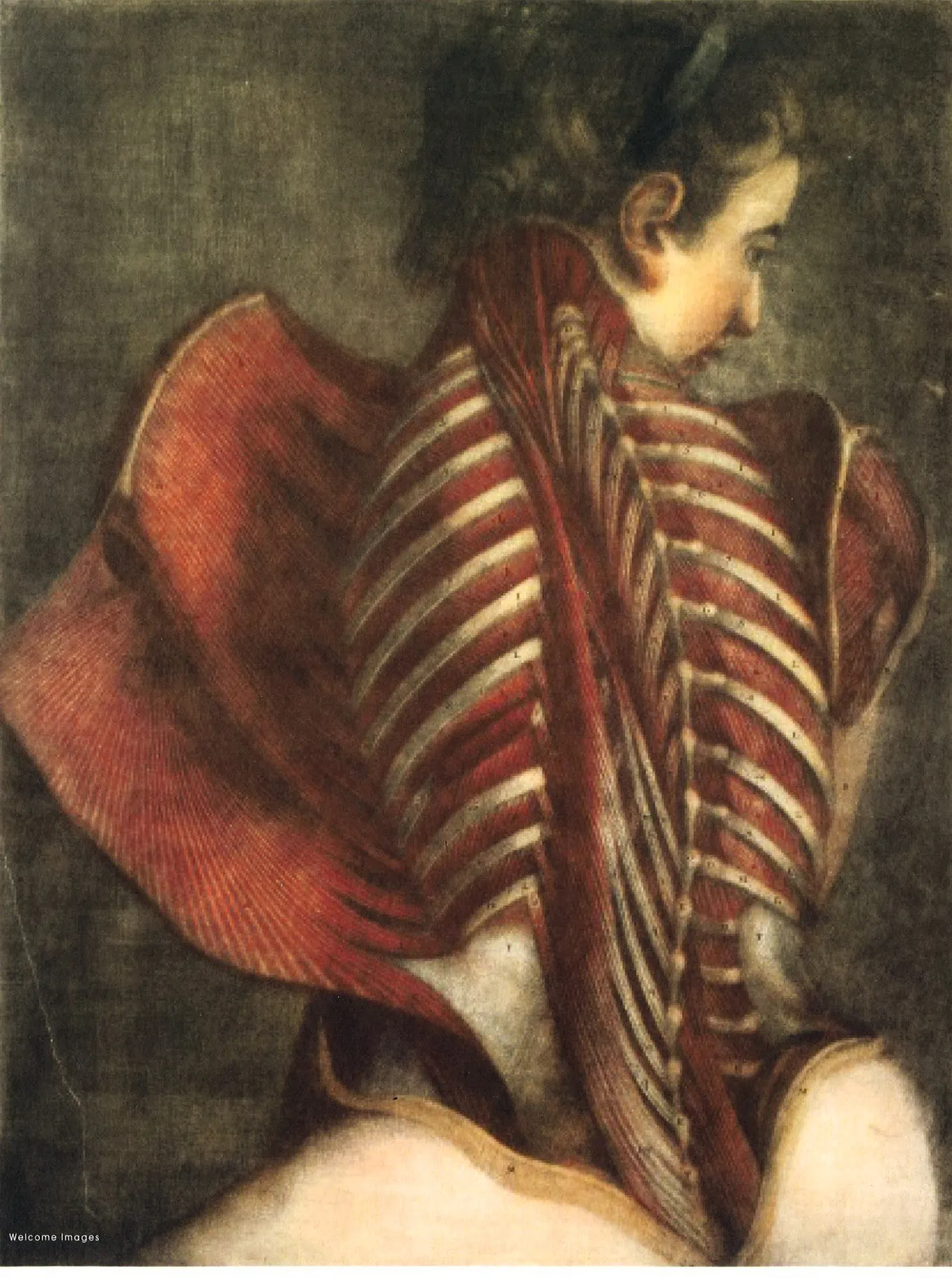 a body we can’t ignore