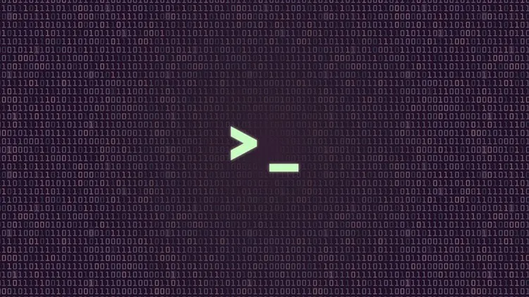 Integer numbers storage in computer memory | by Luis Chaparro | Medium