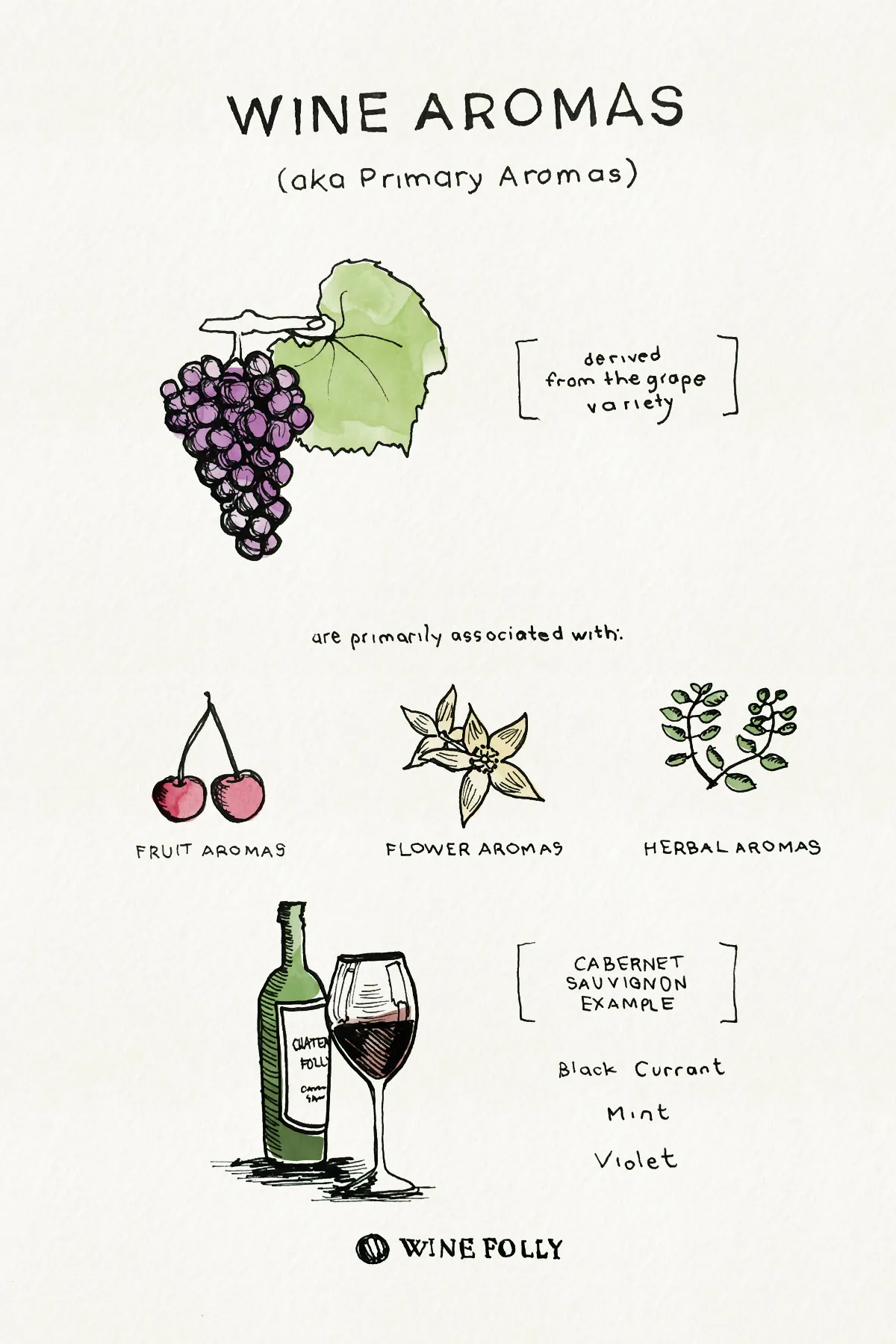 Flavor Profiles of Red Wines (Infographic) | by KS Loves Wine
