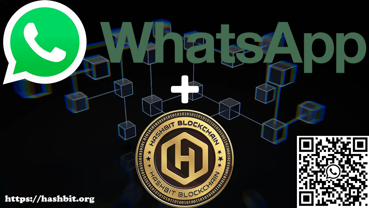 Introducing HashBit Blockchain Wallet on WhatsApp