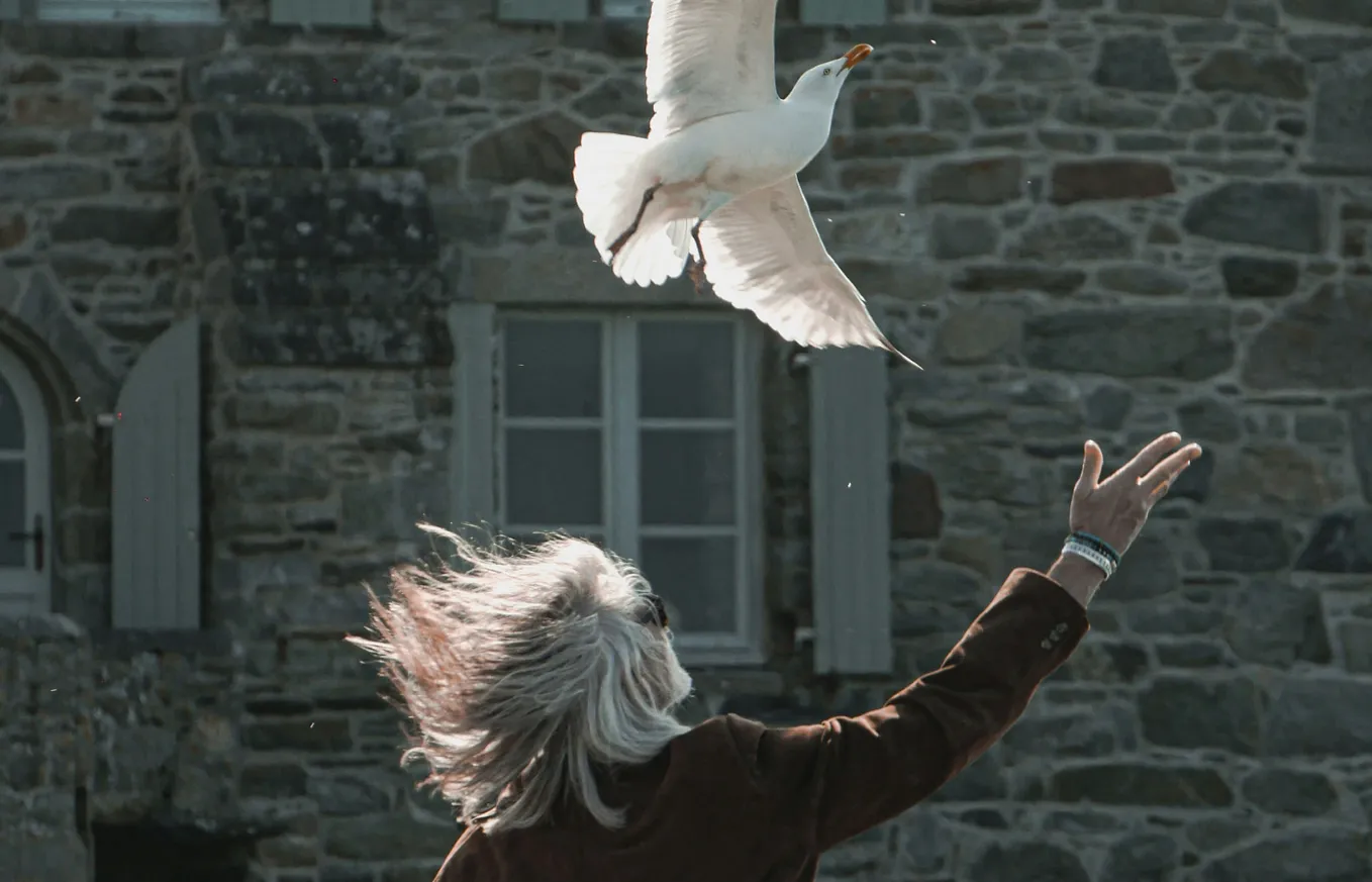 Woman letting go of birds