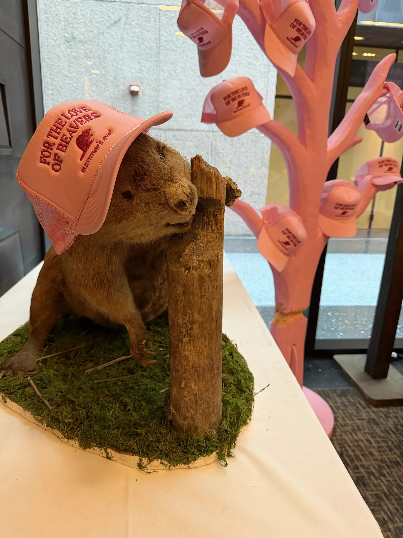 EP+Co in AdAge | Summer's Eve Attends Beavercon