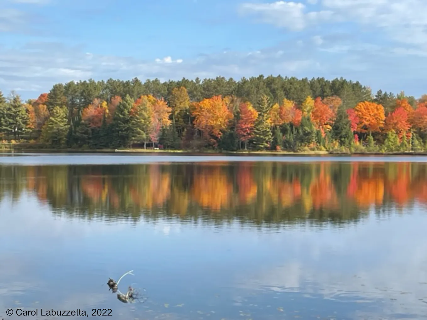 Autumn’s Glorious Colors in the Wisconsin Northwoods