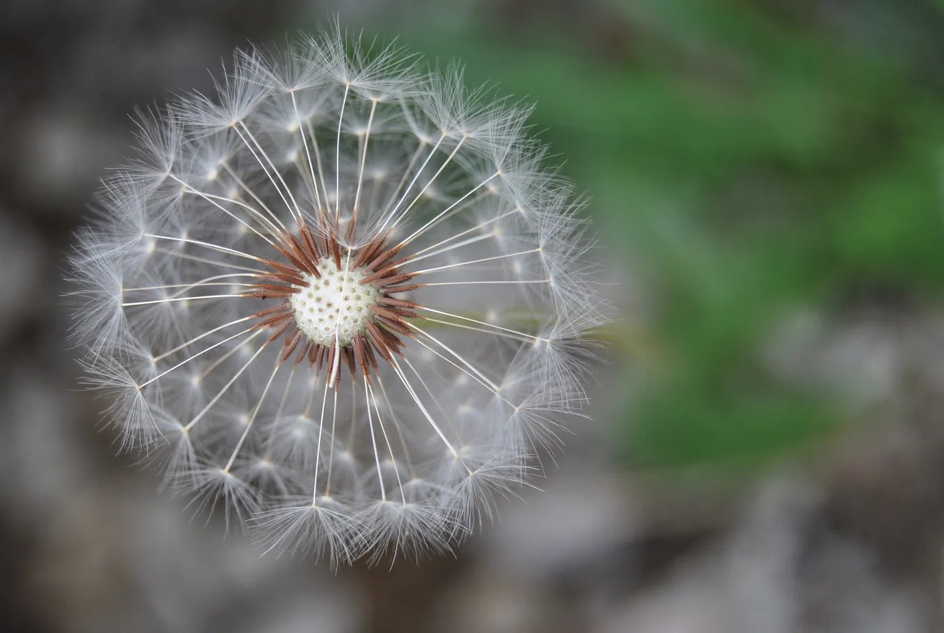 Writing Roles’ Accountabilities in Holacracy