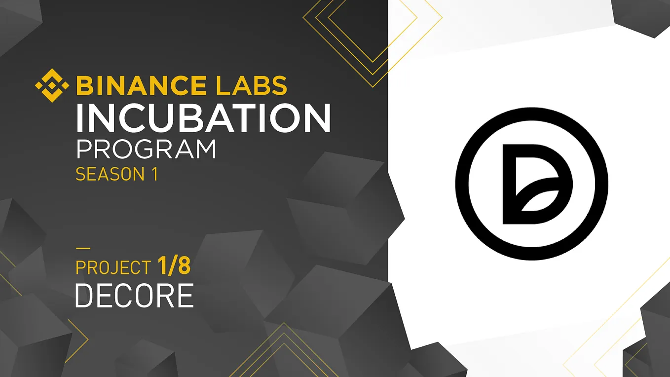 Introducing the Binance Labs Incubation Program | by Binance Labs | Binance  Labs | Medium