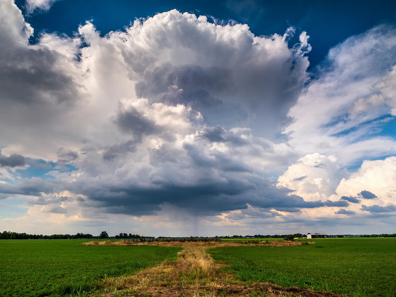 An image of growing cumulonimbus clouds over a flat, grassy midwestern field.