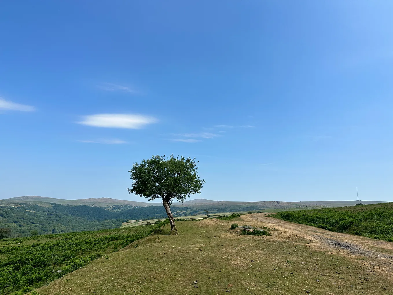 South Dartmoor 50 Mile Loop