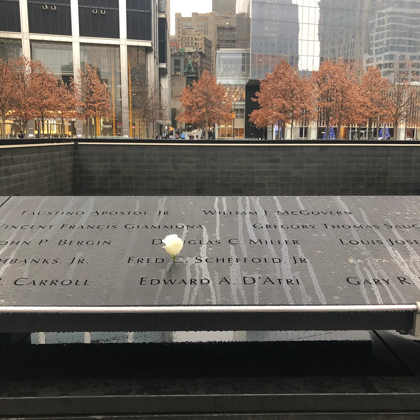 Photo of my father’s name at the 9/11 Memorial with a rose, placed on his birthday.