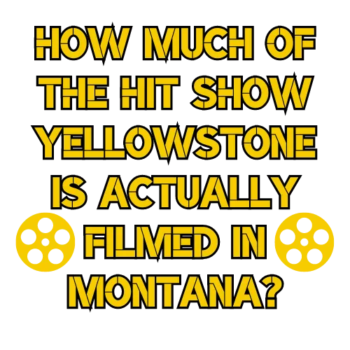 yellowstone population