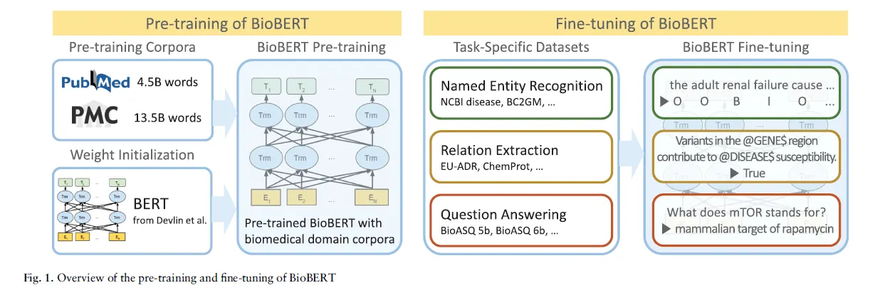 LLaVA and LLaVA-1.5. Paper Reviews | by Eleventh Hour Enthusiast | Medium