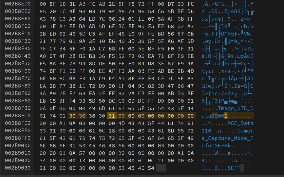 洋書 Pick Interpolation 除籍本 Interpolation and Sampling in S | JChereヤフー