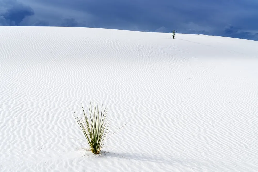 White Sands National Park: Desert Wonder